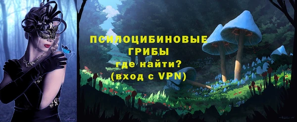 стафф Армянск