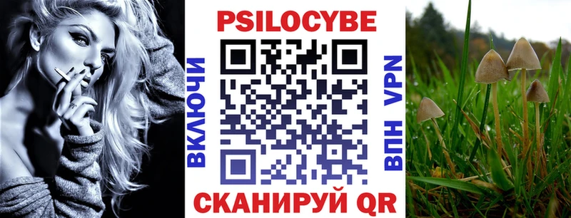 закладки Сергач Псилоцибиновые грибы Psilocybine cubensis